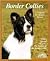 Border Collies by Michael DeVine