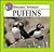 Puffins (Unusual Animals)