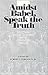 Amidst Babel, Speak the Truth: Reflections on the Southern Baptist Convention Struggle