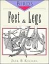Birds: Feet & Legs