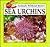 Sea Urchins (Animals Without Bones Discovery Animals)