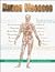 Human Diseases