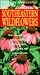 Southeastern Wildflowers