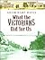 What the Victorians Did for Us