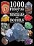 1000 Photos of Minerals and Fossils (1000 Photos Series)
