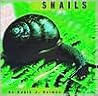 Snails (Animals)