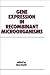 Gene Expression in Recombinant Microorganisms (Bioprocess Technology, No. 22)