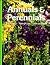 Annuals & Perennials