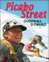 Picabo Street: Downhill Dynamo (Sports Achievers)
