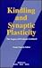 Kindling and Synaptic Plast...