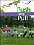 Push and Pull (Start-Up Science)