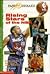 Rising Stars of the NBA: Profiles and Fun Facts About 9 Young NBA Stars! (NBA Fast Breaks Series)