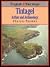 Tintagel: Arthur and Archae...