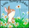 Little Bunny Bobkin (Hardcover)