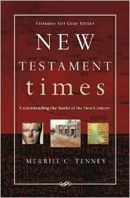 New Testament Times: Understanding the World of the First Century (Hardcover)