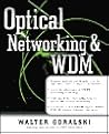 Optical Networking & WDM Optical Networking & WDM