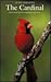 The Cardinal (Corrie Herrin...