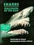 Sharks: Challengers of the ...