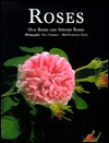 Roses: Old Roses and Species Roses (Hardcover)