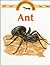 Ant (Observing Nature)