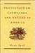 Protestantism, Capitalism, and Nature in America