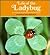 Life of the Ladybug (Carolrhoda Nature Watch Book)