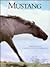 Mustang (American Wildlife in American Spaces)