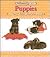 Puppies: A Very First Picture Book (Pictures and Words)