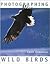 Photographing Wild Birds