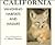 California by B. Moose Peterson