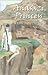 Anasazi Princess, Collector's Edition by James Gibson