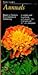 Taylor's Guide to Annuals (Taylor's Guide to Gardening)