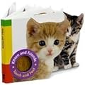 Kitten and Friends: Touch, Feel and Say