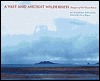 A Vast and Ancient Wilderness: Images of the Great Basin (Hardcover)