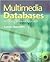 Multimedia Databases: An Object-Relational Approach