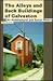 The Alleys and Back Buildings of Galveston: An Architectural and Social History
