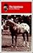 The Appaloosa
