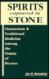 Spirits Captured in Stone: Shamanism and Traditional Medicine Among the Taman of Borneo (Hardcover)