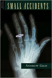 Small Accidents (Paperback)