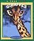 Giraffes (True Books: Animals)