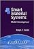 Smart Material Systems: Mod...