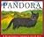 Pandora