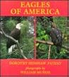 Eagles of America