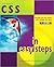 CSS in Easy Steps (In Easy Steps Series) by Mike McGrath (2005) Paperback