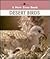 Desert Birds (New True Book)