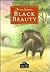 Black Beauty by Anna Sewell