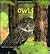 Owls and Their Homes by Deborah Chase Gibson