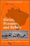 Slaves, Peasants, and Rebels: Reconsidering Brazilian Slavery (Blacks in the New World)
