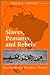 Slaves, Peasants, and Rebels: Reconsidering Brazilian Slavery (Blacks in the New World)