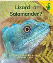 Early Readers: Lizard or Salamander? (Paperback)